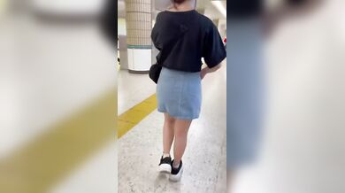 Japanese Girl Upskirt On Train And Toilet